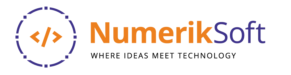numeriksoft logo-02